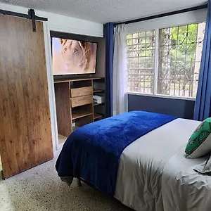 Casa De Palmas 1 Apartamento